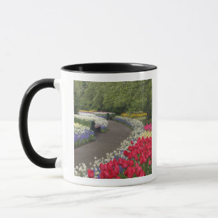 Sidewalk through tulips, daffodils, and mug
