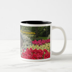 Sidewalk through tulips, daffodils, and Two-Tone coffee mug
