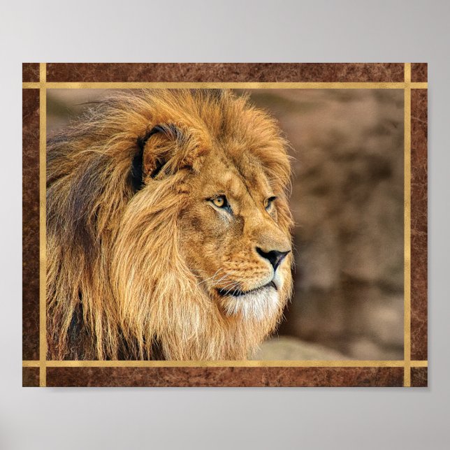 Sideway Lion Photo Poster (Front)