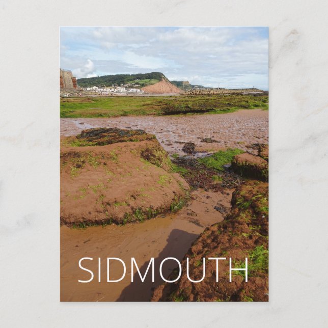 Sidmouth Postcard (Front)
