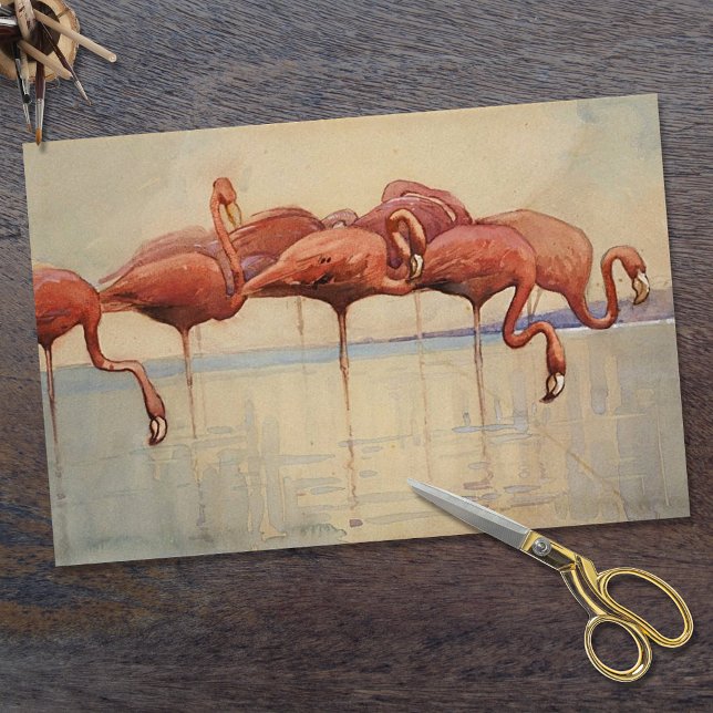 Sidney Long's Flamingos 1917 Tissue Paper (Creator Uploaded)