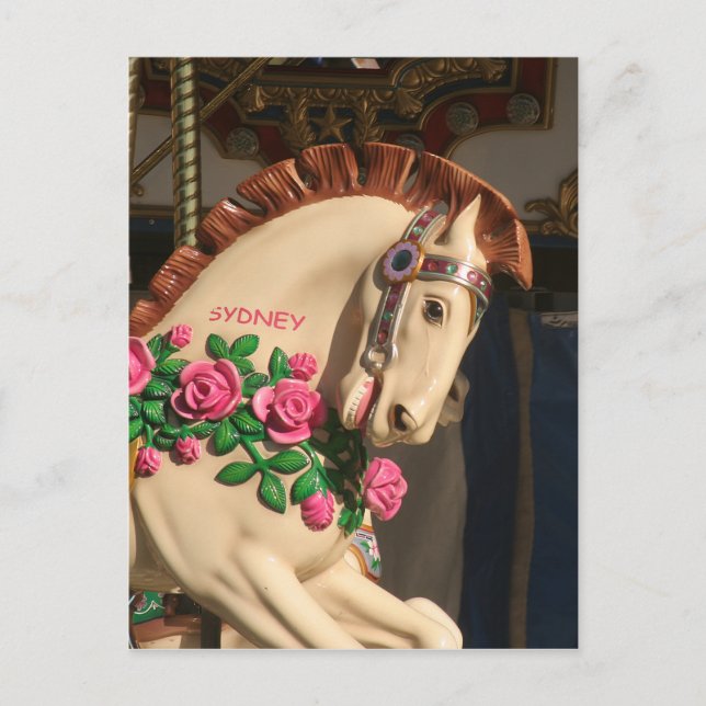Sidney the Carousel Horse Postcard (Front)