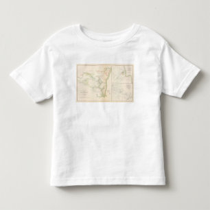 Siege of Yorktown Toddler T-Shirt