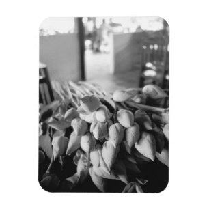 Siem Reap Cambodia, Lotus Flowers Magnet