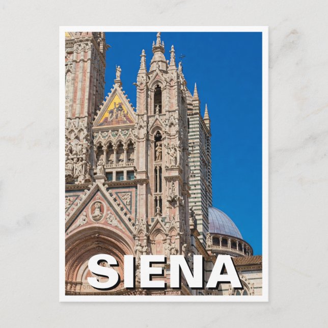 Siena Italy Travel Duomo Cathedral Postcard (Front)