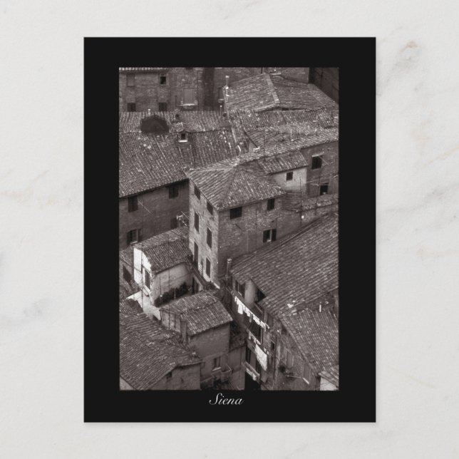 Siena Rooftops | Postcard (Front)