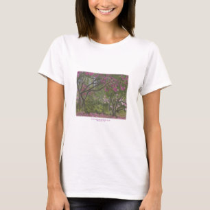 Sierra Azul Nursery & Garden T-Shirt
