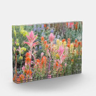 Sierra Buttermilk Wildflowers Photo Block