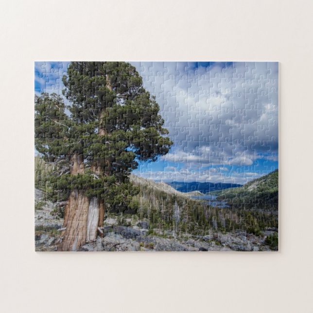 Sierra Juniper and Evergreen Trees 2 Jigsaw Puzzle (Horizontal)