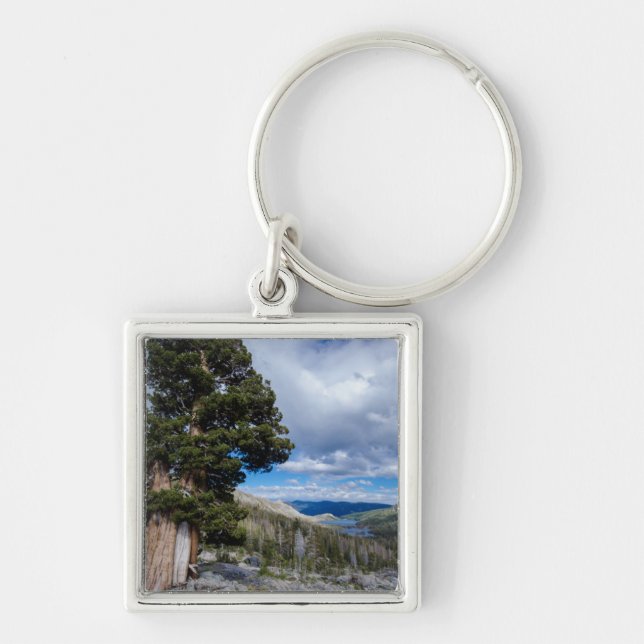 Sierra Juniper and Evergreen Trees 2 Key Ring (Front)