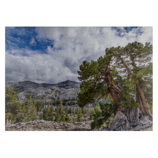 Sierra Juniper and Evergreen Trees Cutting Board (Front)