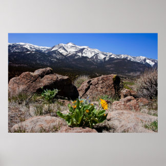 Sierra Mountain View Poster