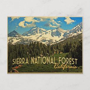 Sierra National Forest California Postcard