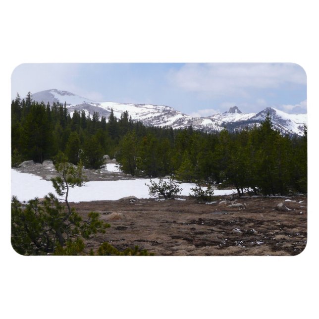 Sierra Nevada Mountains and Snow at Yosemite Magnet (Horizontal)