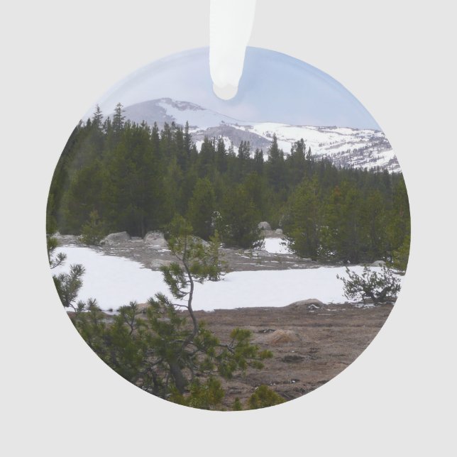 Sierra Nevada Mountains and Snow at Yosemite Ornament (Front)