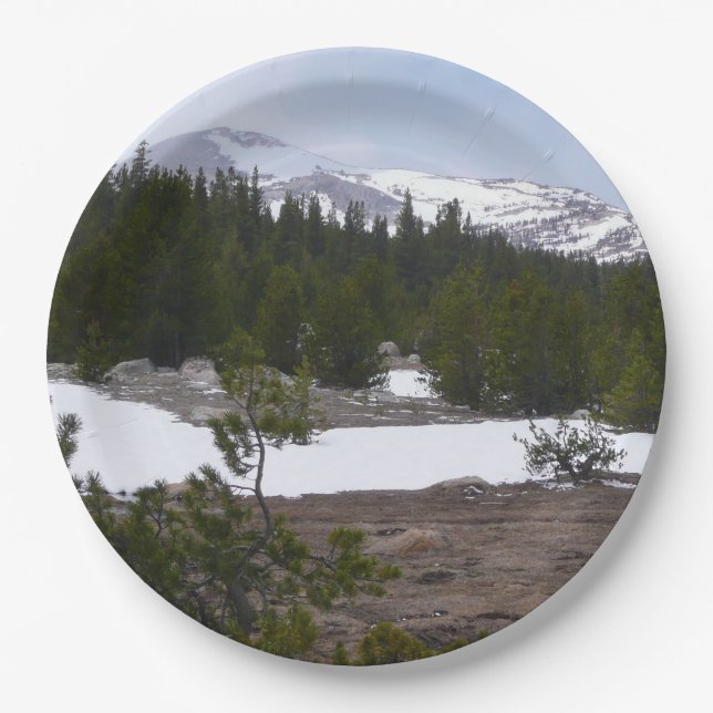 Sierra Nevada Mountains and Snow at Yosemite Paper Plate (Front)