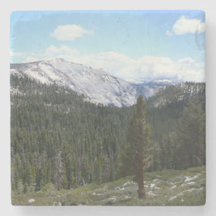 Sierra Nevada Mountains II from Yosemite Stone Coaster