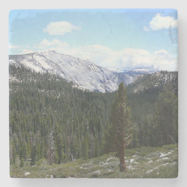 Sierra Nevada Mountains II from Yosemite Stone Coaster (Front)