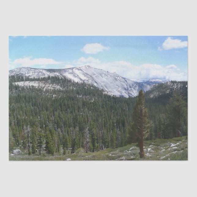 Sierra Nevada Mountains II from Yosemite Tissue Paper (Front)