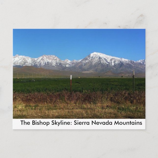 Sierra Nevada near Bishop, CA postcard (Front)