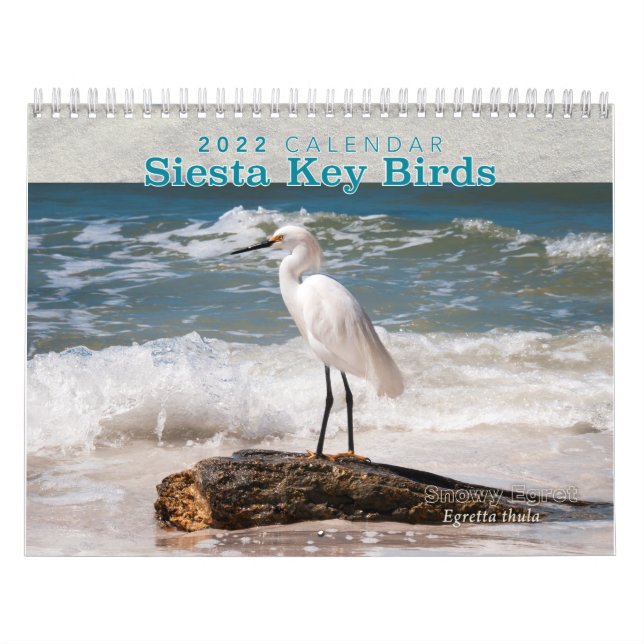 Siesta Key Birds - 2022 Calendar (Cover)