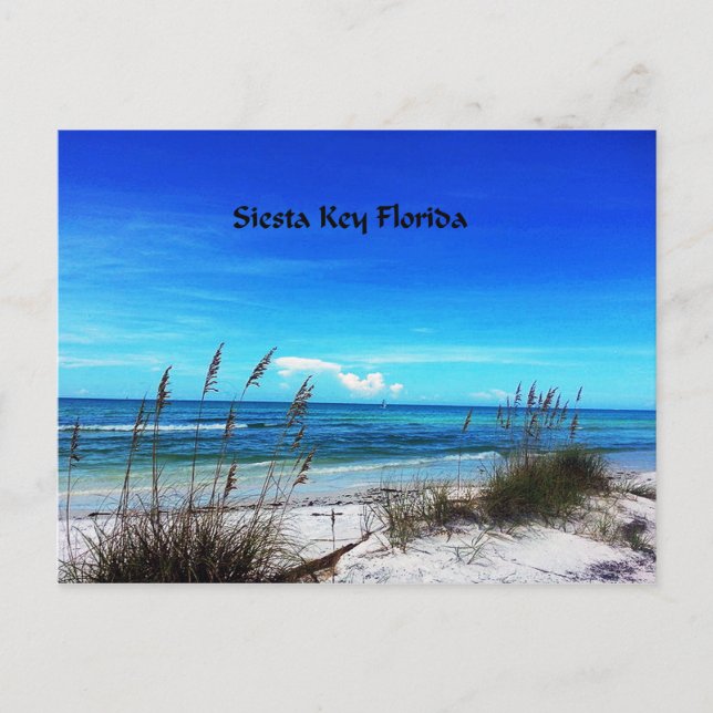 Siesta Key postcard (Front)