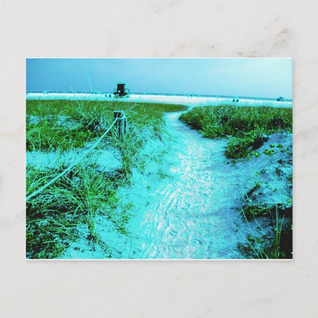Siesta Keys Beach in Coloured Edges Themed Gifts Postcard (Front)