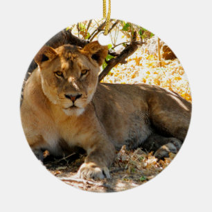 Siesta Time Ceramic Ornament