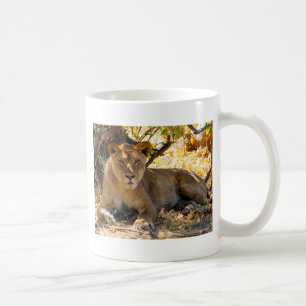 Siesta Time Coffee Mug
