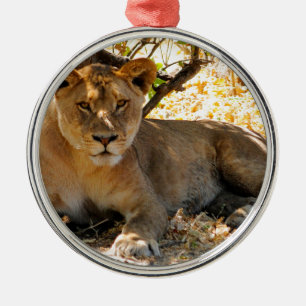 Siesta Time Metal Tree Decoration