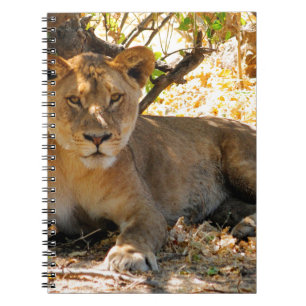 Siesta Time Notebook
