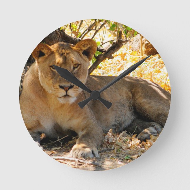 Siesta Time Round Clock (Front)