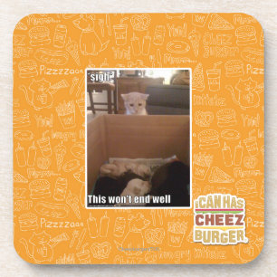 sigh coaster