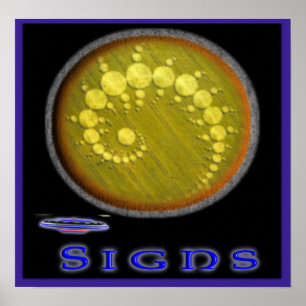 sighnsposter poster