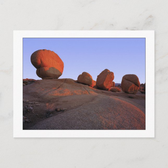 "Sign Of Four" Postcard (Front)