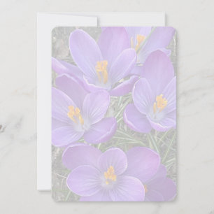 Sign of Spring Card