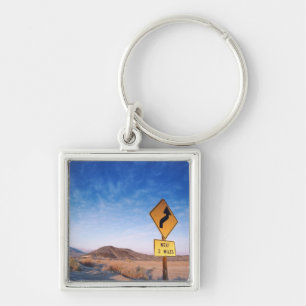 Sign on the death valley road in sunset key ring