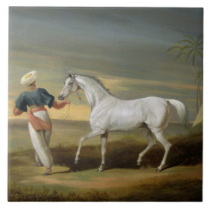 Signal, a grey Arab, with a Groom in the Desert (o Ceramic Tile