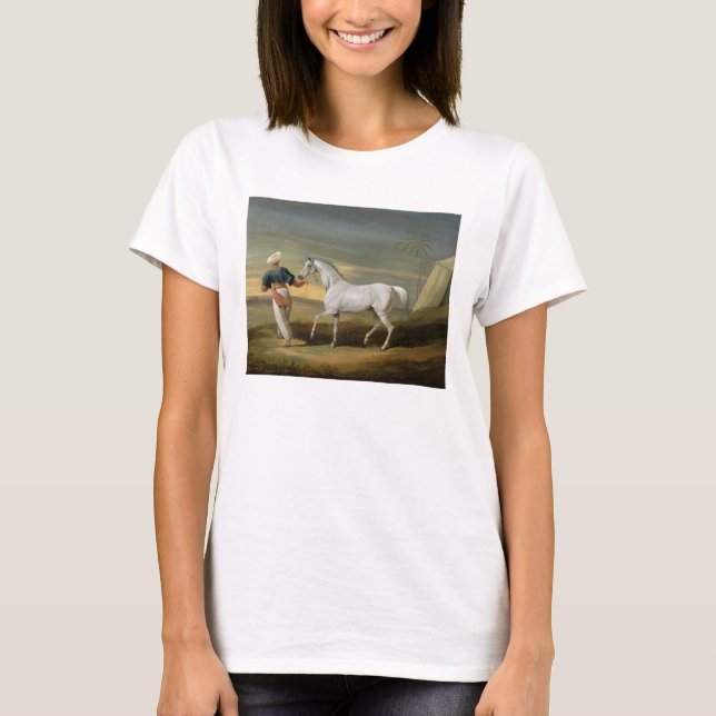 Signal, a grey Arab, with a Groom in the Desert (o T-Shirt (Front)