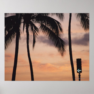 Signal and Palm Tree Poster