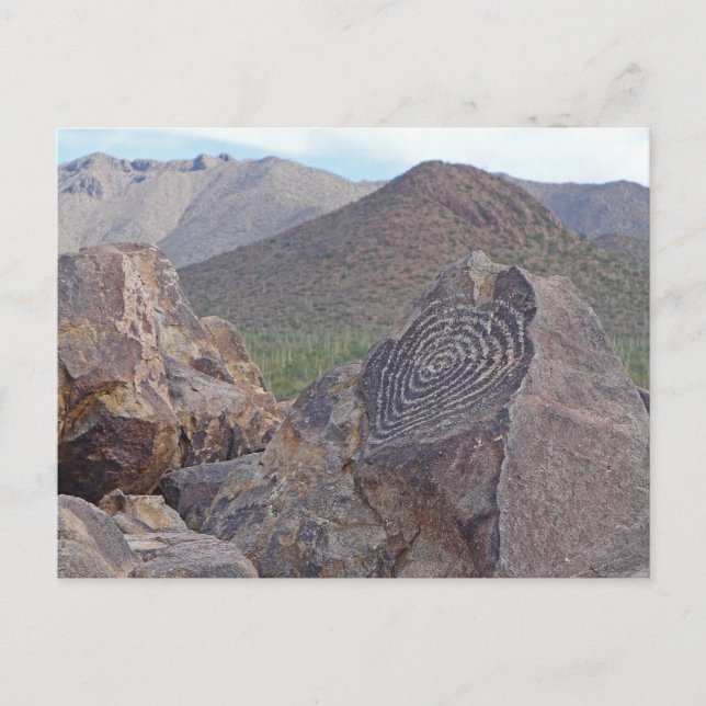 Signal Hill Petroglyph - Saguaro NP - Arizona Postcard (Front)