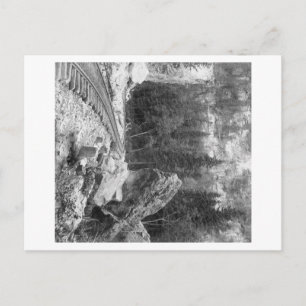 Signal Rock Near Railroad Track Photograph Postcard