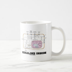 Signalling Inside (Signal Transduction Pathways) Coffee Mug