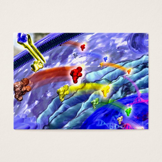 Signalling land profile card (Front)