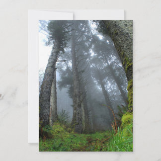 Signature: Matte 5" x 7", Standard white envelopes