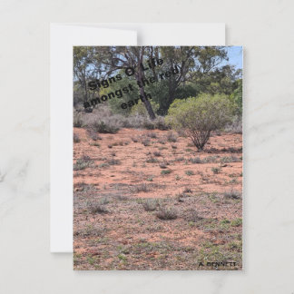 Signs O' Life Postcard