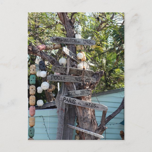 signs postcard (Front)