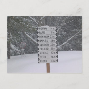 Signs Postcard