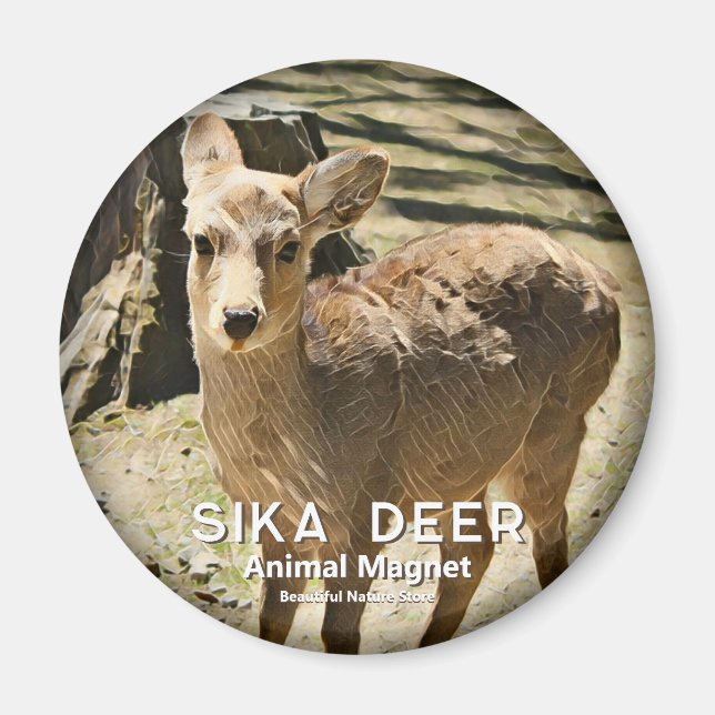 Sika Deer マグネット Magnet (Front)