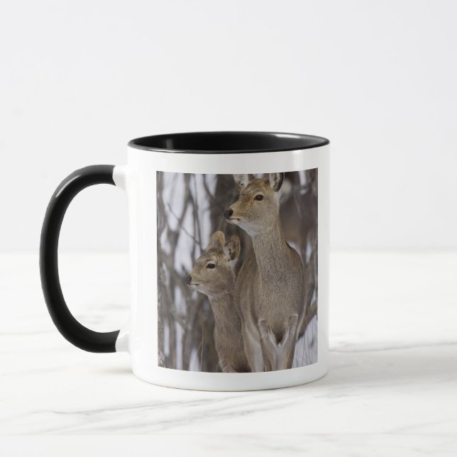 Sika Deer Doe and Young, Hokkaido, Japan Mug (Left)